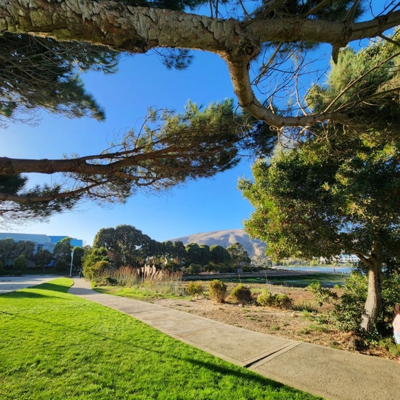 Meet your Posher, Amalia Grace - Picture 3 of 6